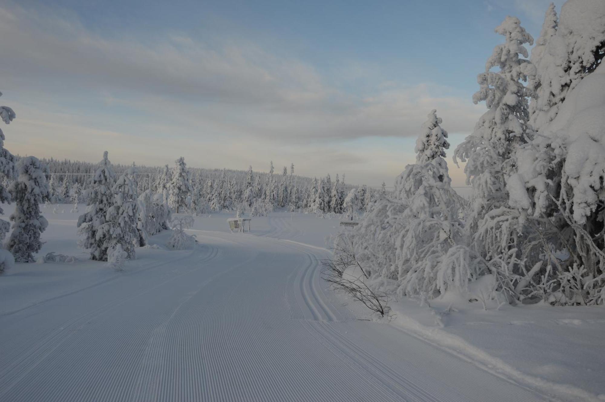 16 - Fulufjellets Nasjonalparker - Natur-, Dyre- Og Fugleopplevelser Ljordal Luaran gambar
