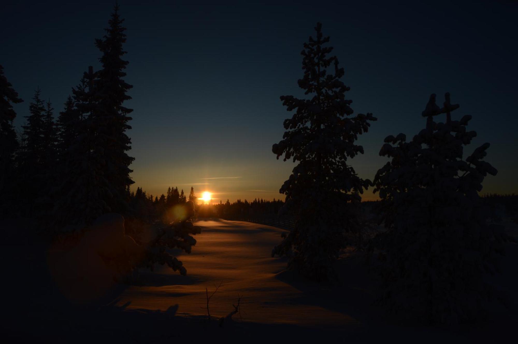 16 - Fulufjellets Nasjonalparker - Natur-, Dyre- Og Fugleopplevelser Ljordal Luaran gambar