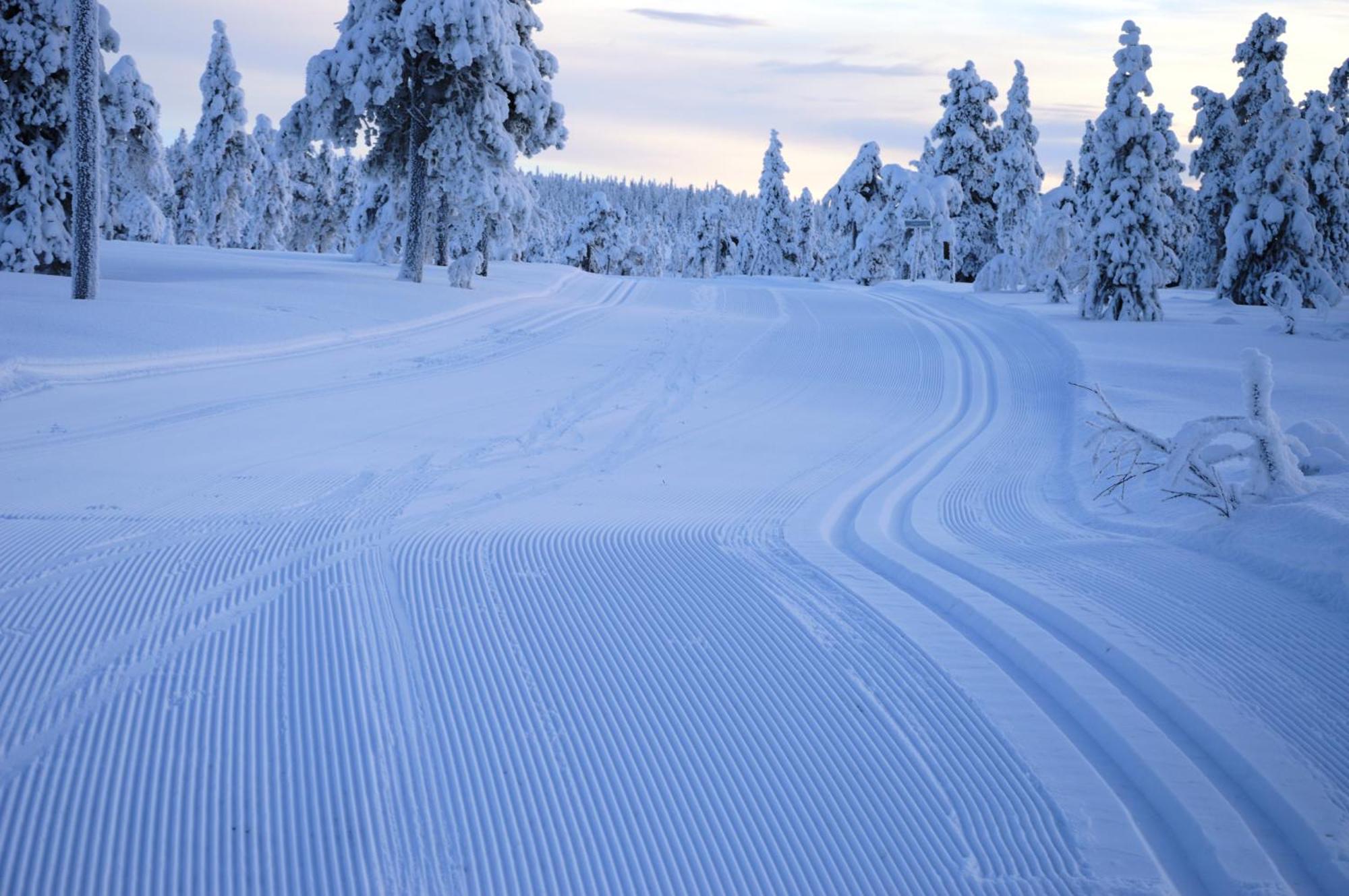 16 - Fulufjellets Nasjonalparker - Natur-, Dyre- Og Fugleopplevelser Ljordal Luaran gambar