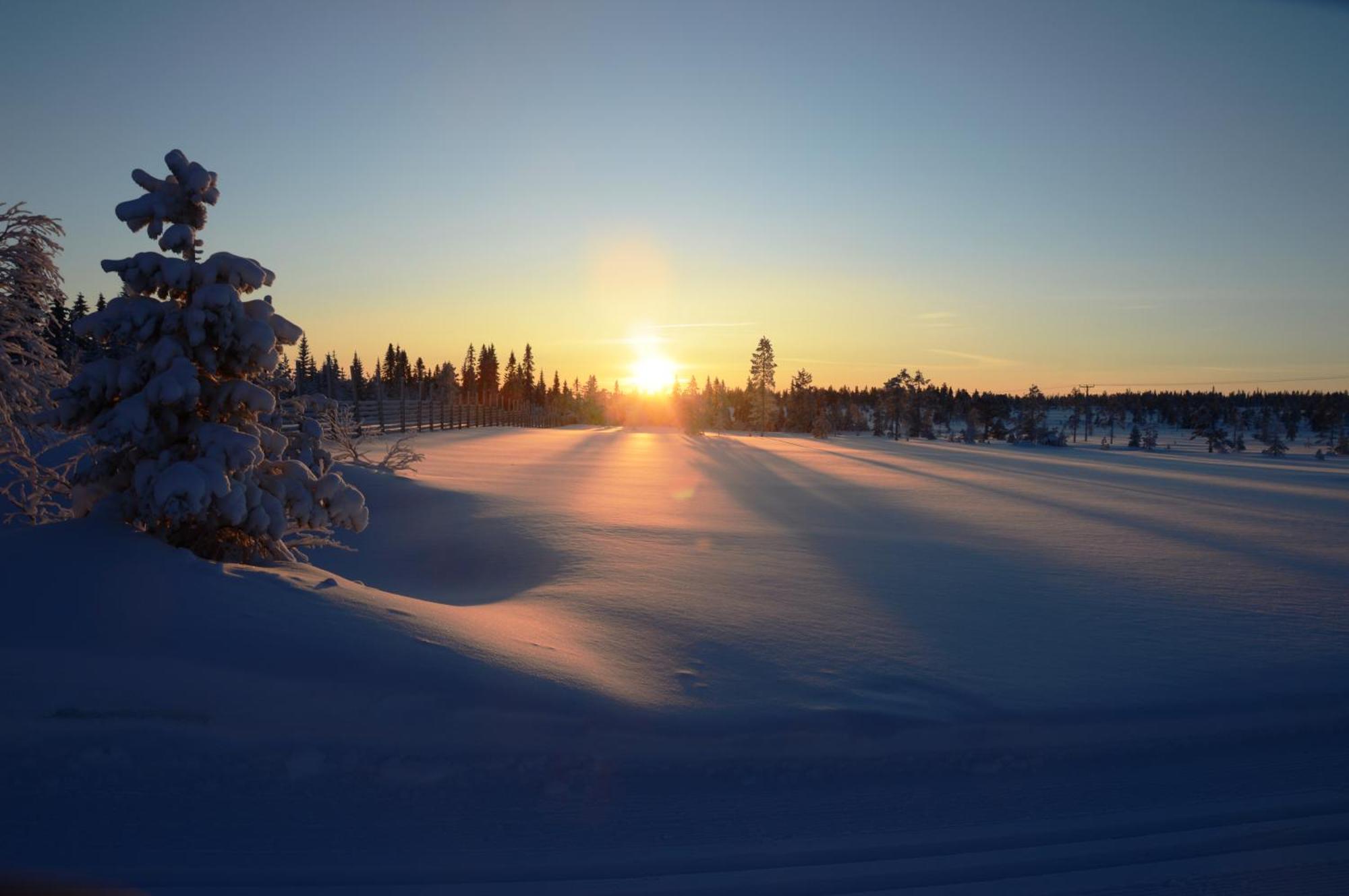 16 - Fulufjellets Nasjonalparker - Natur-, Dyre- Og Fugleopplevelser Ljordal Luaran gambar