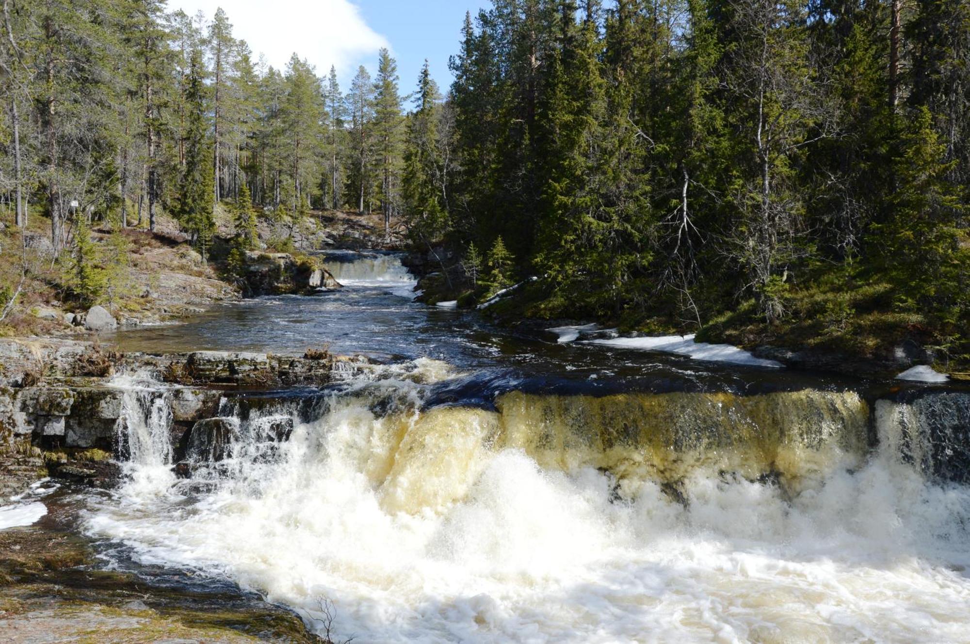 16 - Fulufjellets Nasjonalparker - Natur-, Dyre- Og Fugleopplevelser Ljordal Luaran gambar