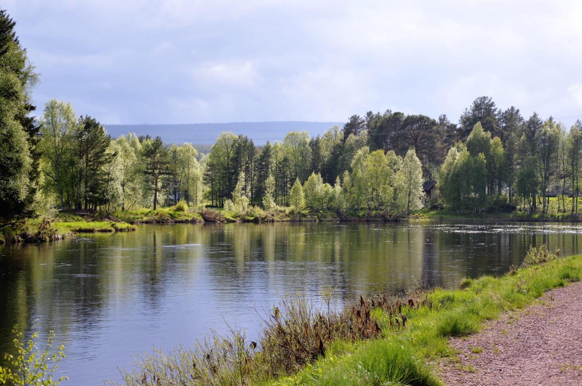 16 - Fulufjellets Nasjonalparker - Natur-, Dyre- Og Fugleopplevelser Ljordal Luaran gambar
