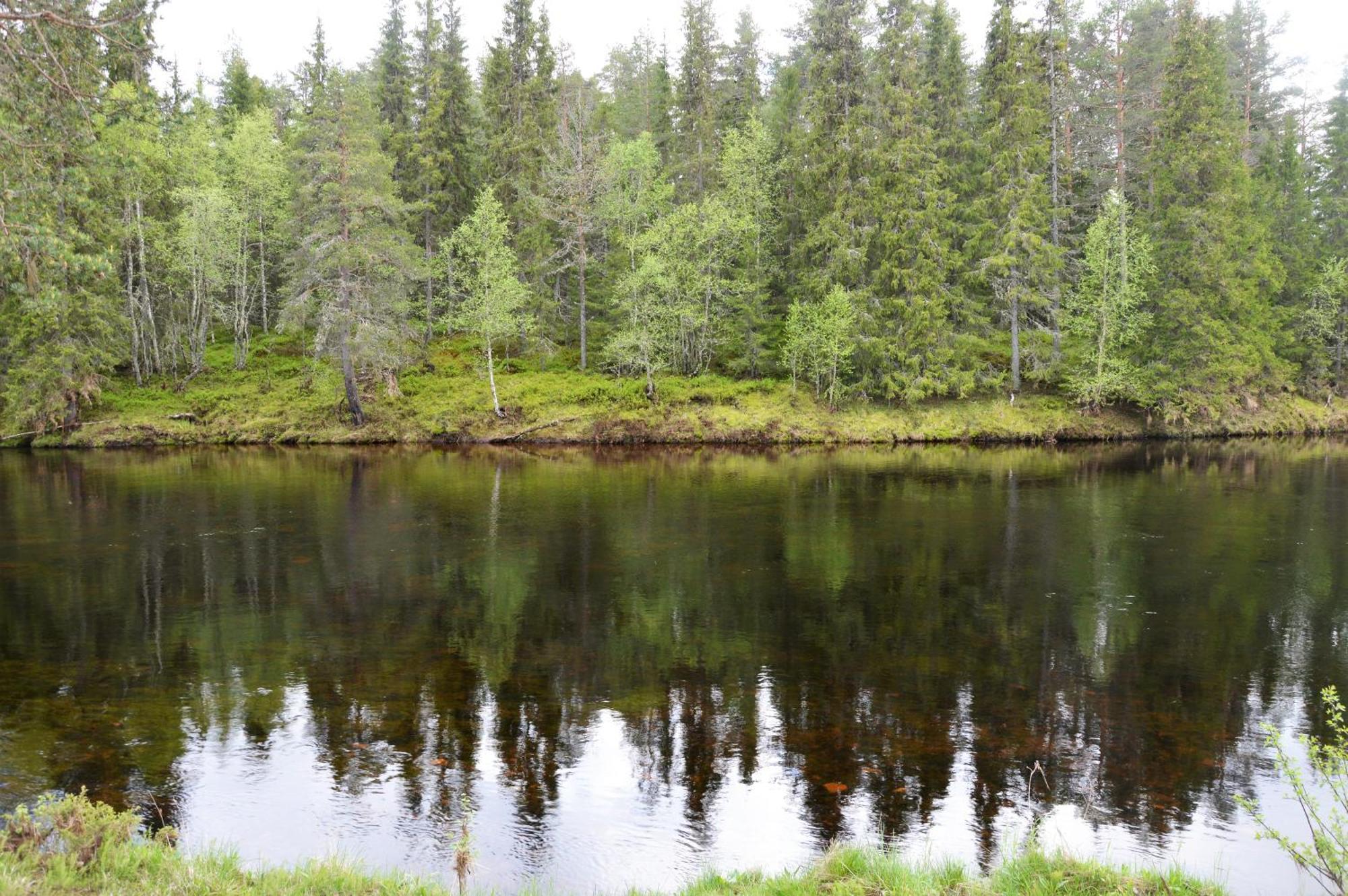 16 - Fulufjellets Nasjonalparker - Natur-, Dyre- Og Fugleopplevelser Ljordal Luaran gambar