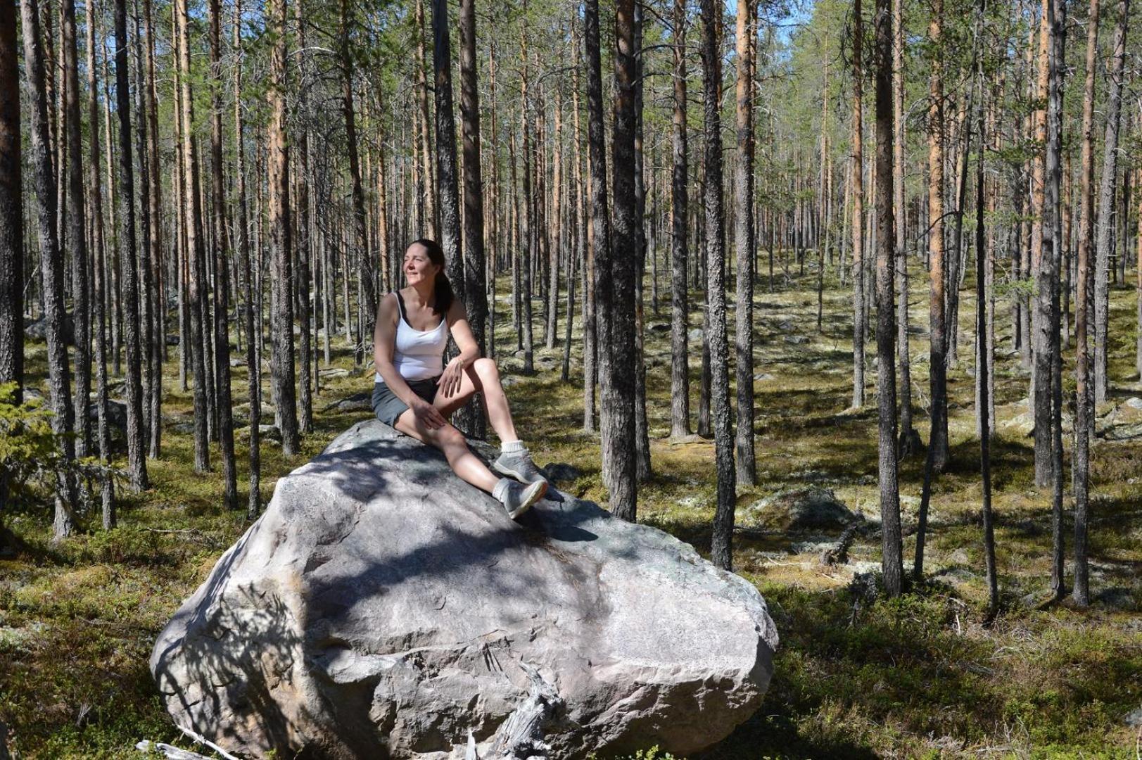16 - Fulufjellets Nasjonalparker - Natur-, Dyre- Og Fugleopplevelser Ljordal Luaran gambar