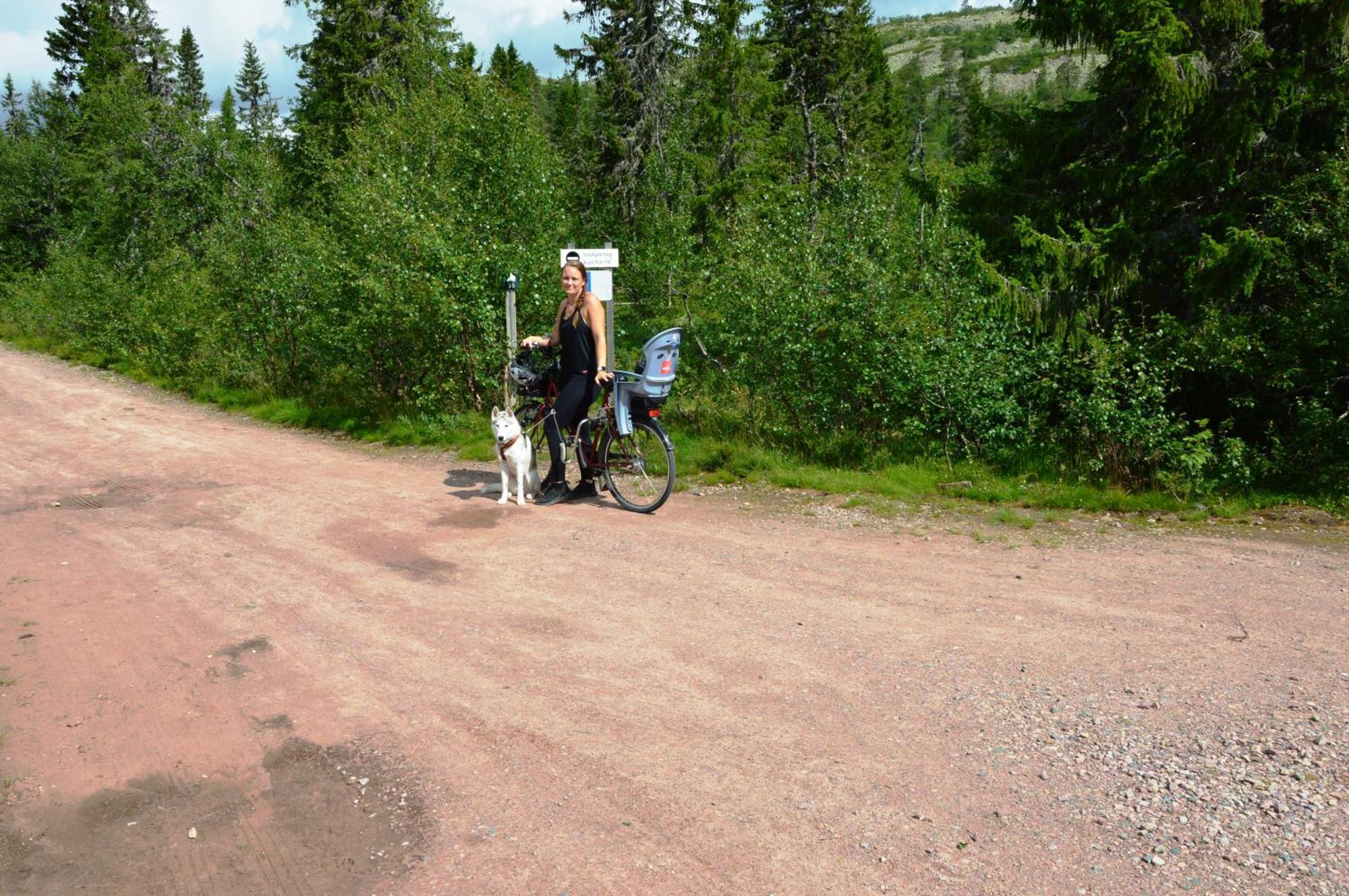 16 - Fulufjellets Nasjonalparker - Natur-, Dyre- Og Fugleopplevelser Ljordal Luaran gambar