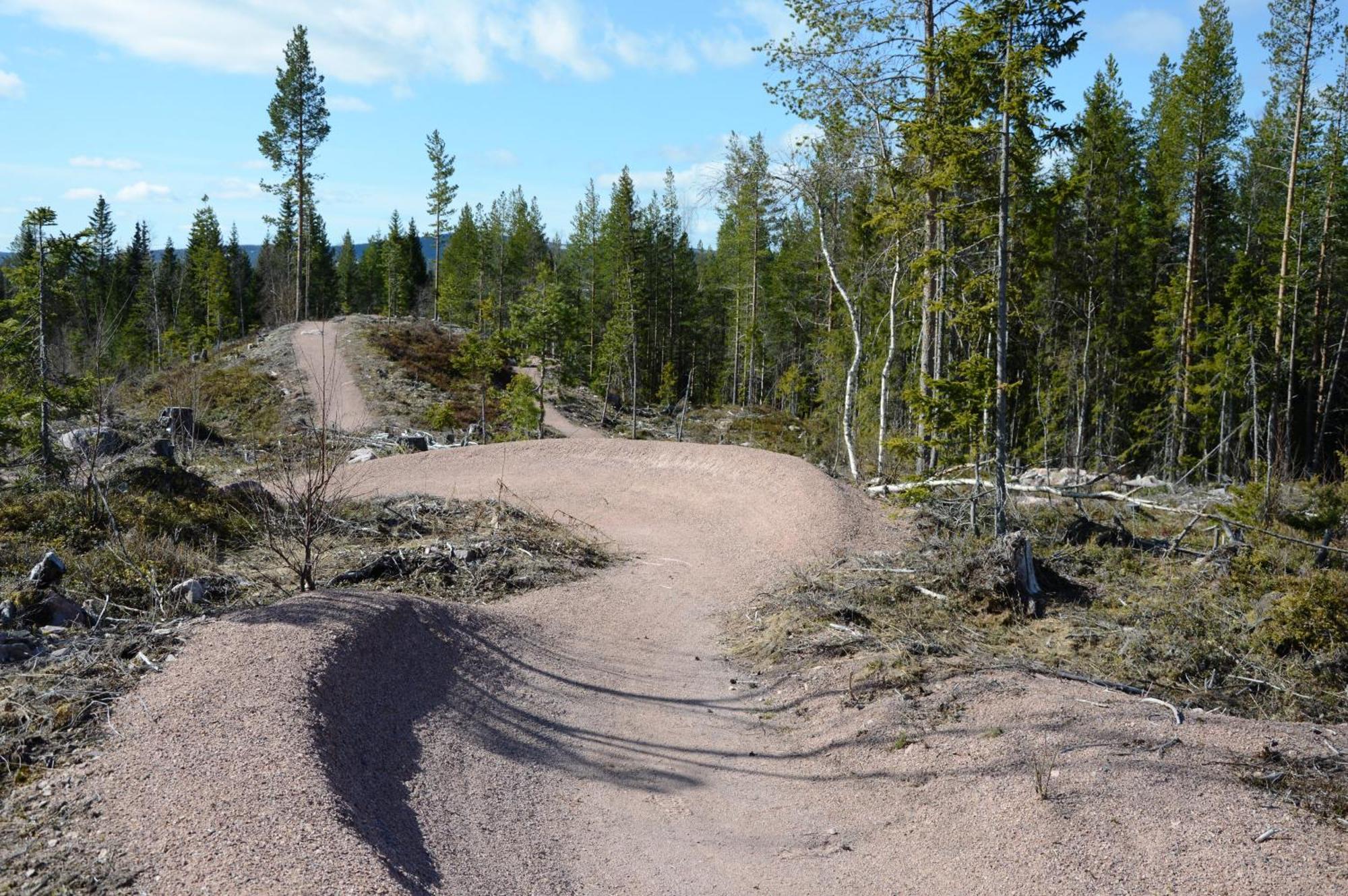 16 - Fulufjellets Nasjonalparker - Natur-, Dyre- Og Fugleopplevelser Ljordal Luaran gambar