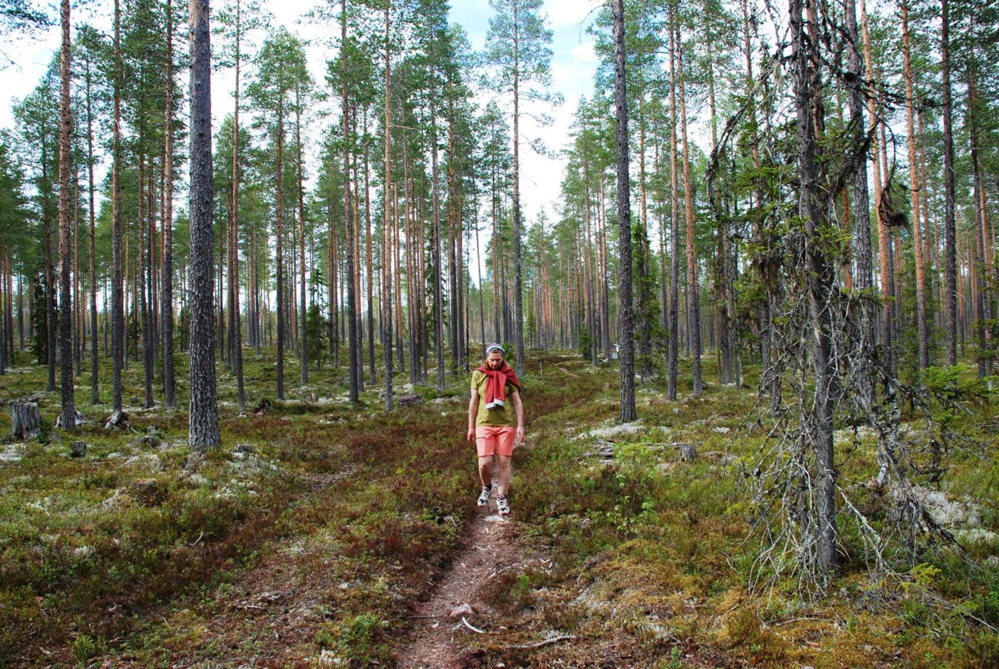 16 - Fulufjellets Nasjonalparker - Natur-, Dyre- Og Fugleopplevelser Ljordal Luaran gambar