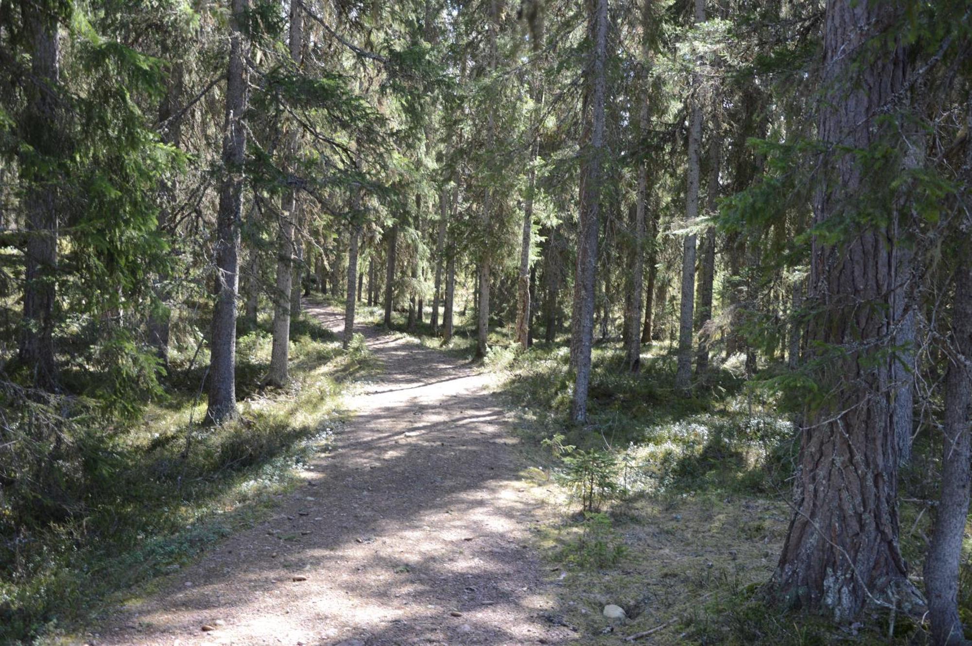 16 - Fulufjellets Nasjonalparker - Natur-, Dyre- Og Fugleopplevelser Ljordal Luaran gambar