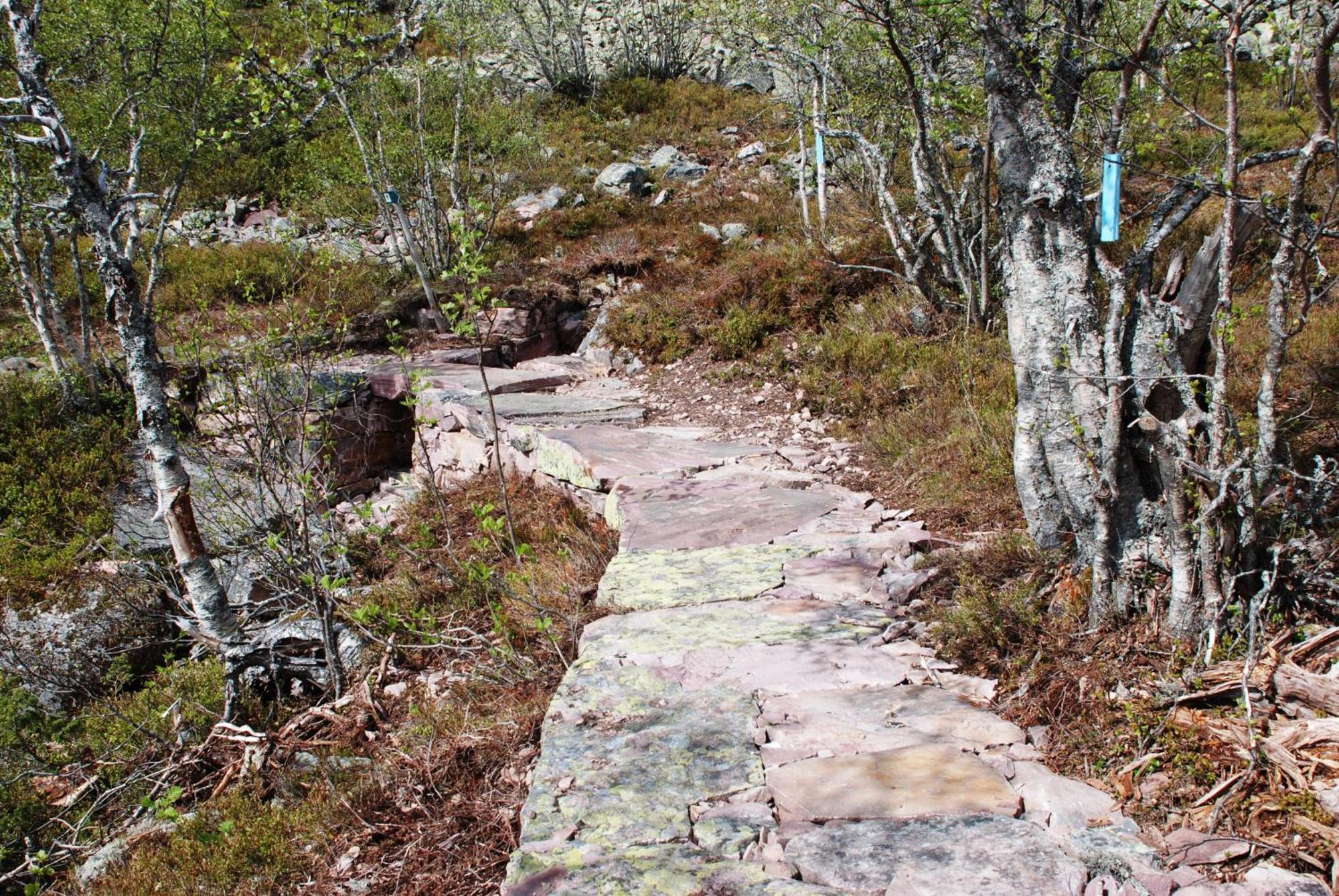 16 - Fulufjellets Nasjonalparker - Natur-, Dyre- Og Fugleopplevelser Ljordal Luaran gambar