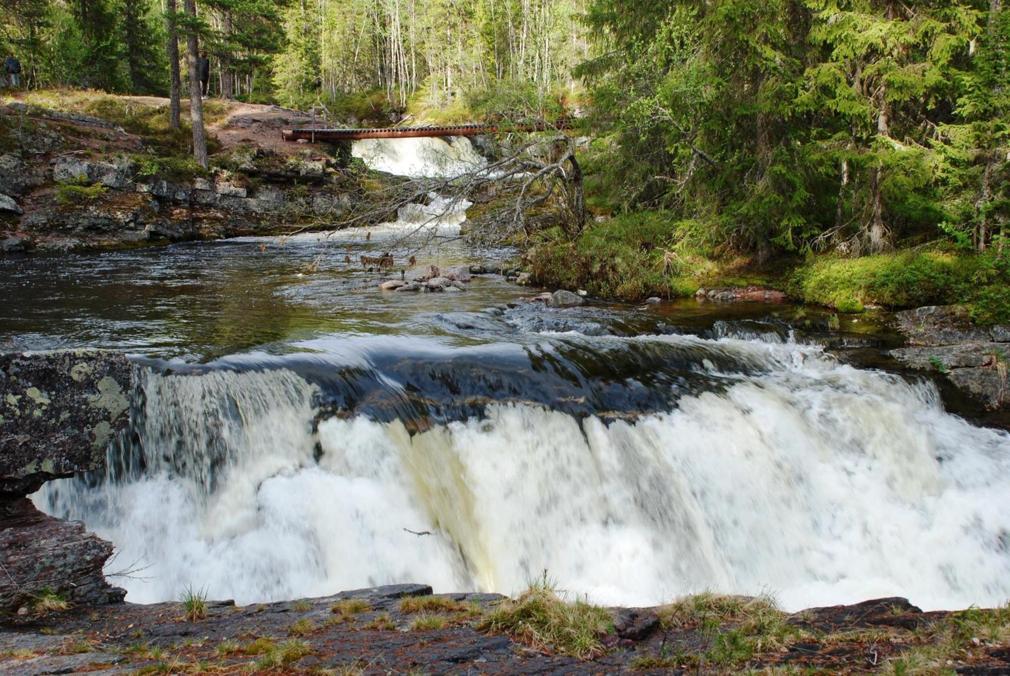 16 - Fulufjellets Nasjonalparker - Natur-, Dyre- Og Fugleopplevelser Ljordal Luaran gambar