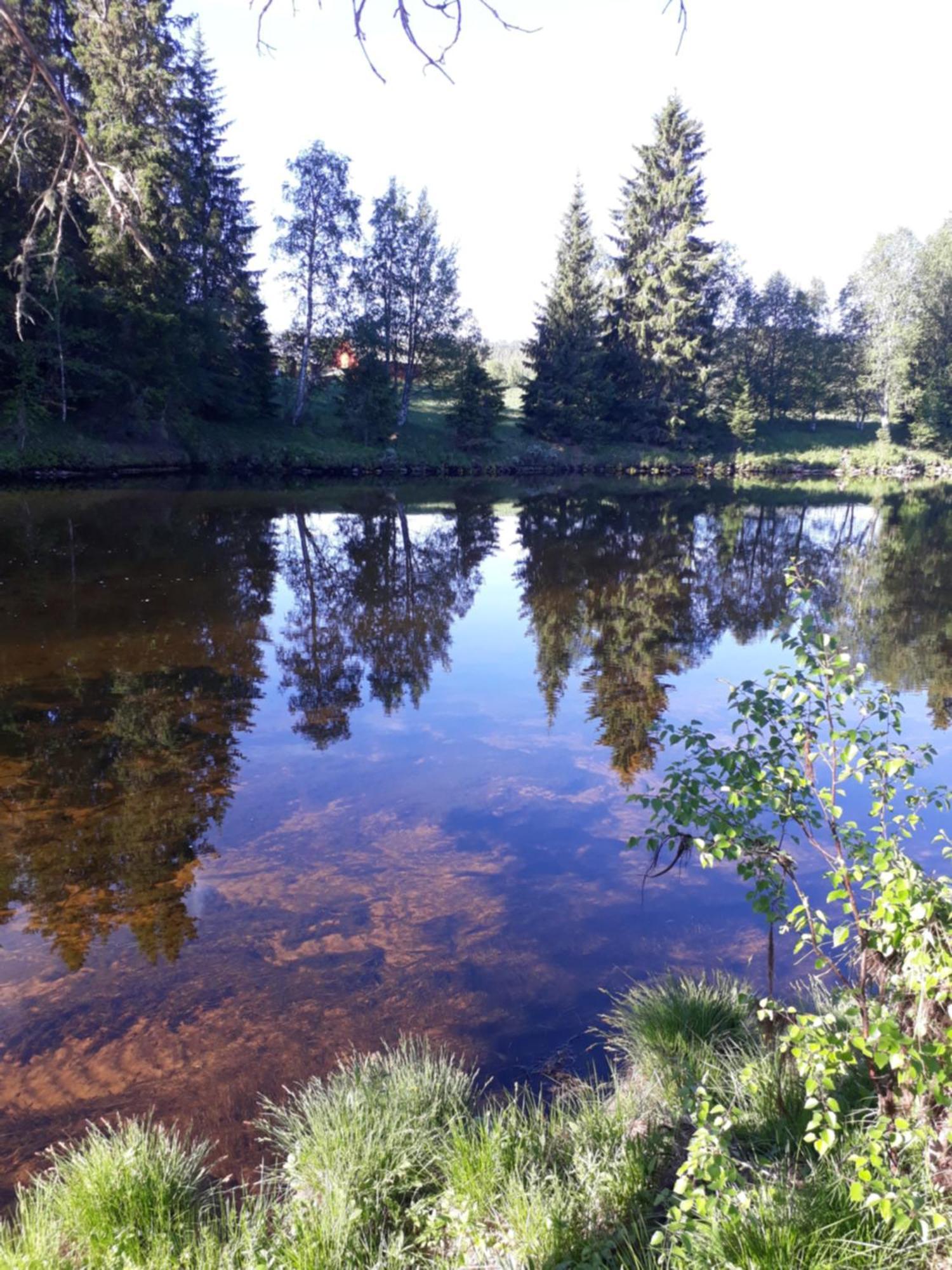 16 - Fulufjellets Nasjonalparker - Natur-, Dyre- Og Fugleopplevelser Ljordal Luaran gambar